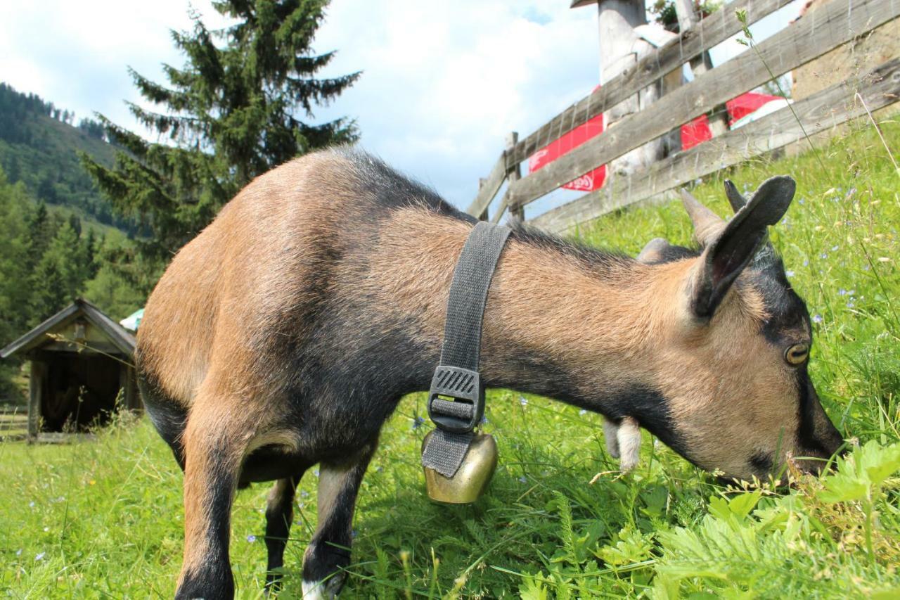 Schladminger Tauern Apartment Haus im Ennstal Eksteriør billede